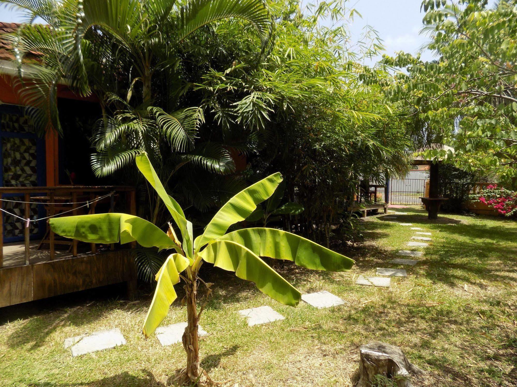 Le Jardin De Rodney Inn Gros Islet