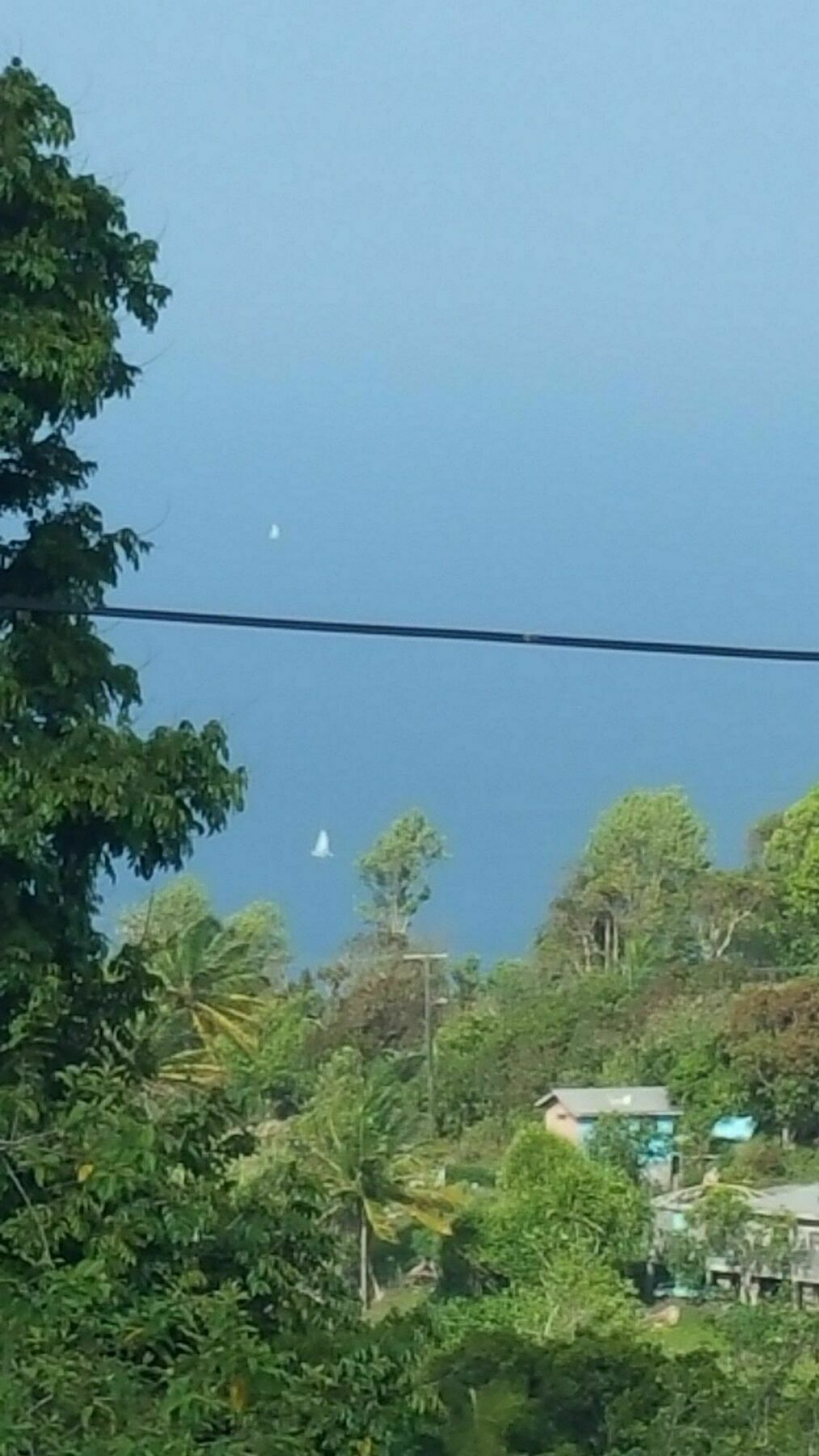 Grand View Villa