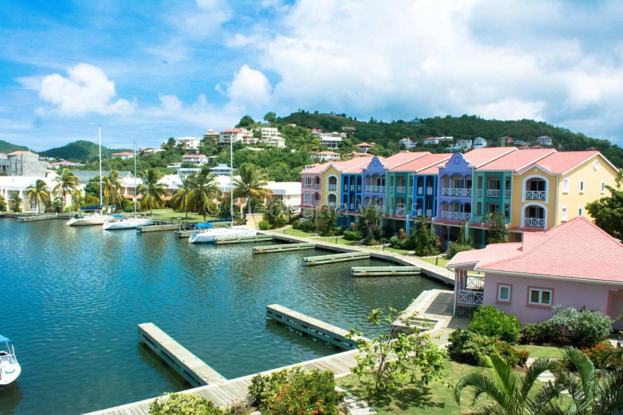 The Harbour