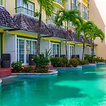 Coco Palm
