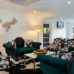 Coco Palm