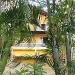 Kaye Mango