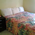Aupic Paradise