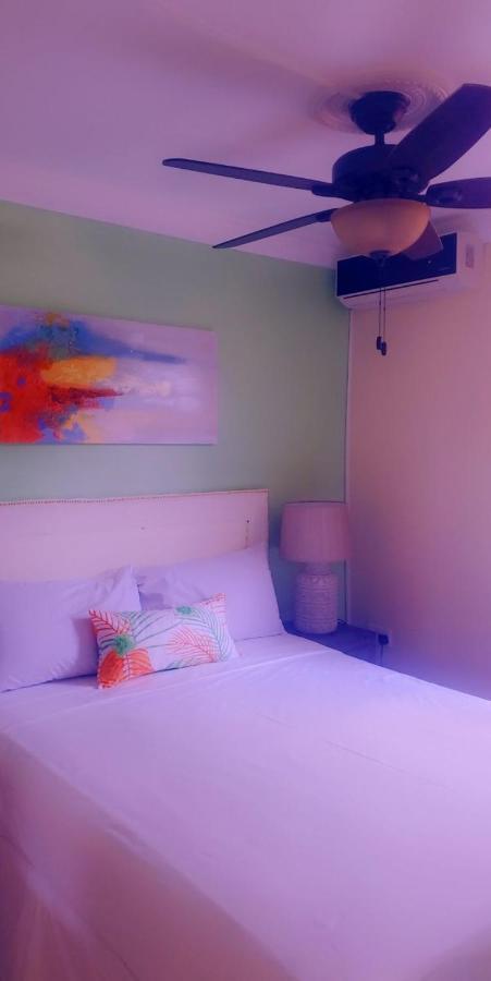 Sea Piton View Apartment- Location, Convenience, Modern Living