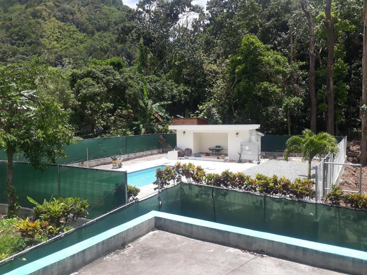 Amazon * Soufriere