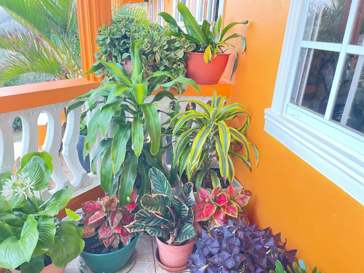 Apartment Sunrise Gros Islet