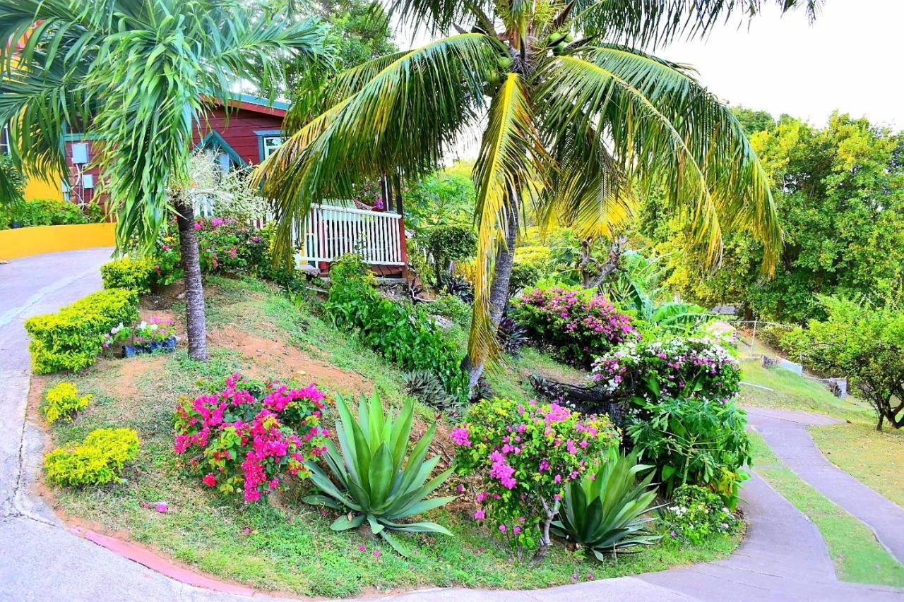 Beachfront Villa *