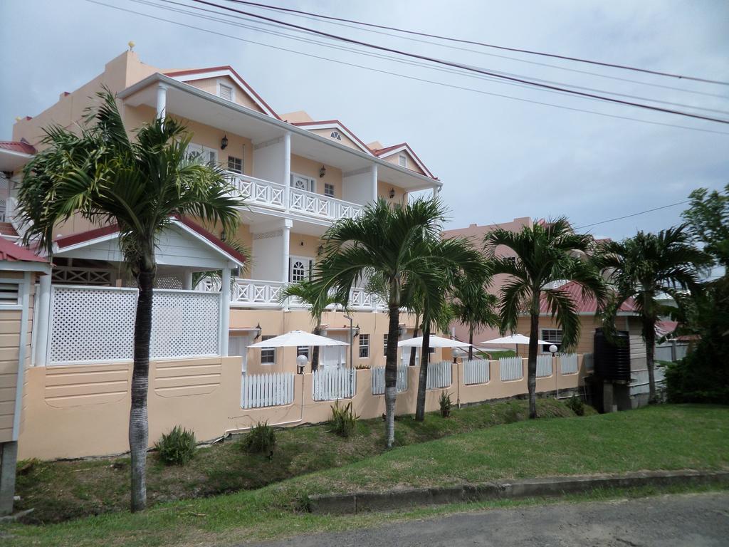 Qr Quality Cedar Palm * Vieux Fort