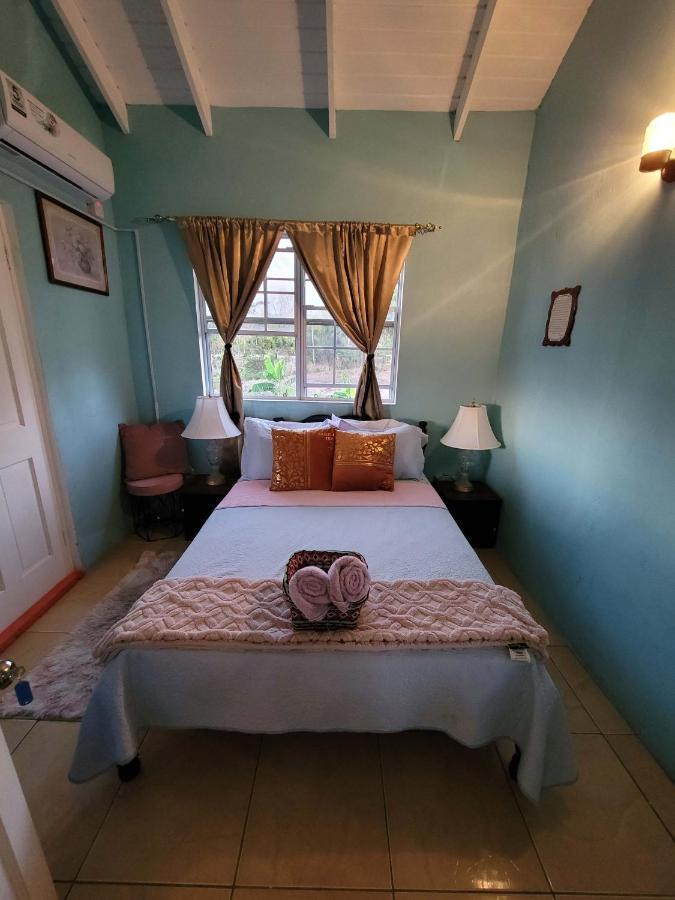 Comfort Three Bedroom Apartment Choiseul