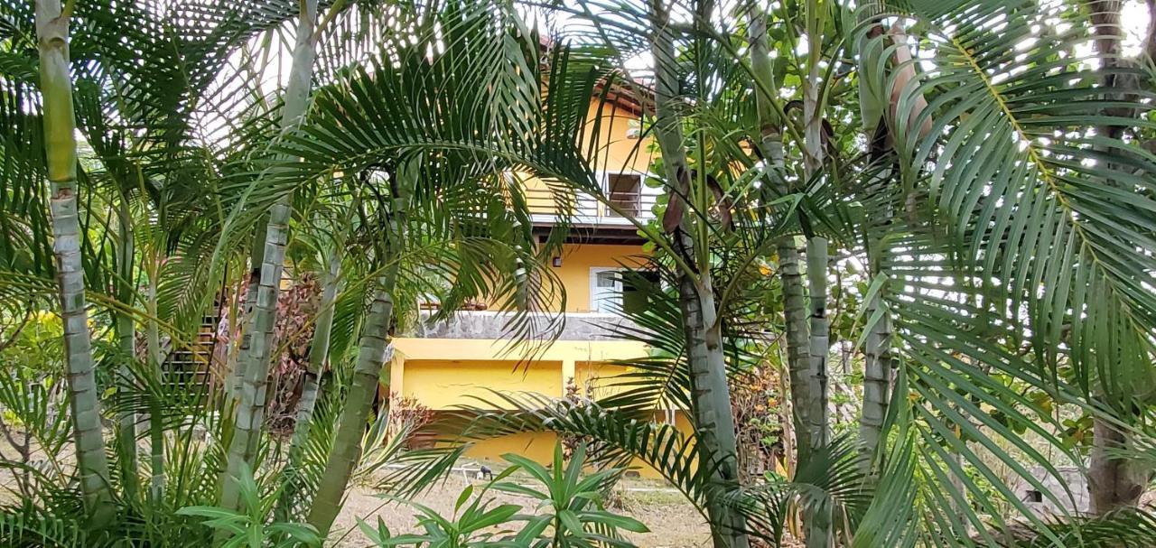 Kaye Mango