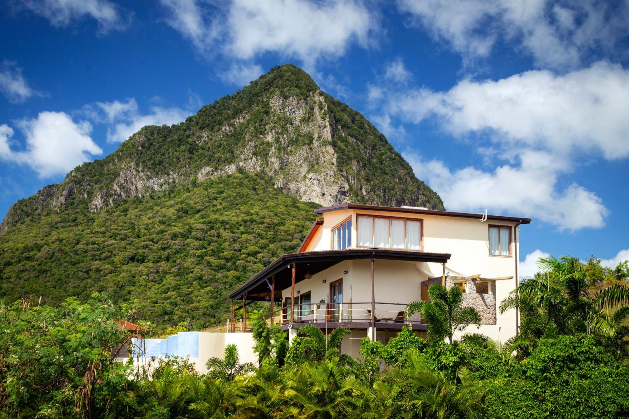 Gone Tropical Luxury *