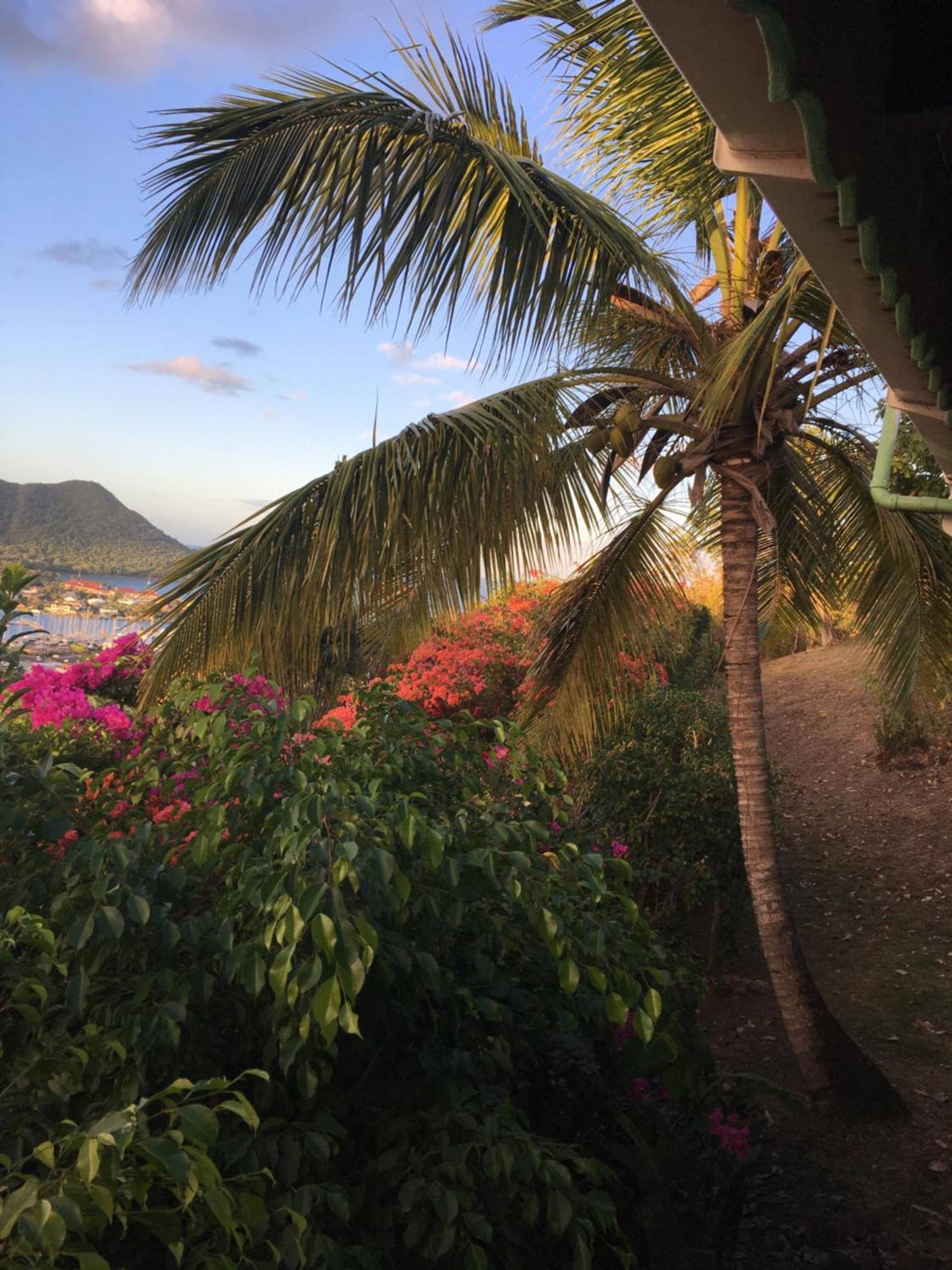Creole House 2 Bedrooms With Garden View Rodney Bay 21 * Gros Islet