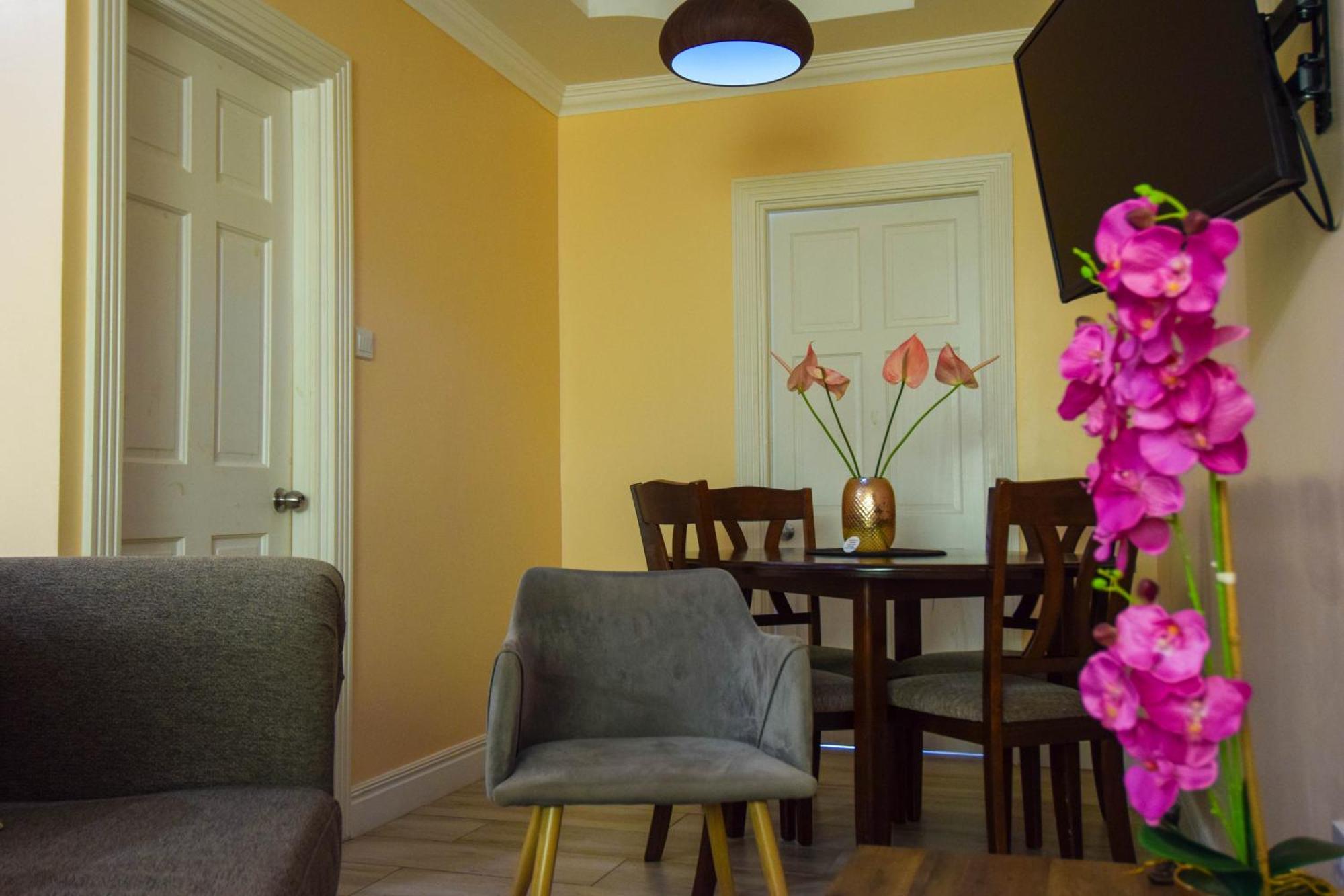 Sea Piton View Apartment- Location, Convenience, Modern Living Aparthotel Soufriere