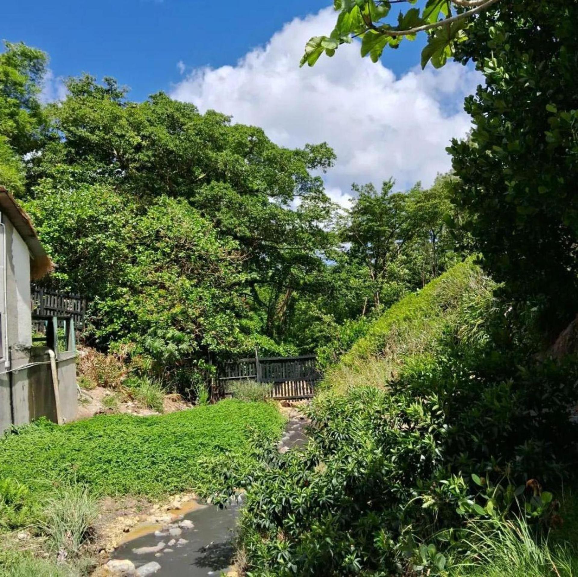 Lovely In From Claviers Soufriere