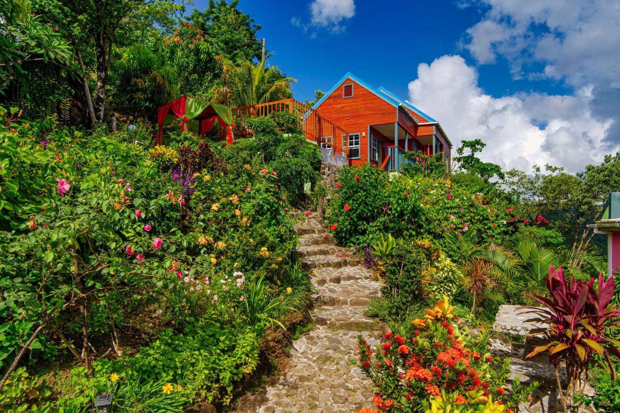 Tropical Paradise View 3*