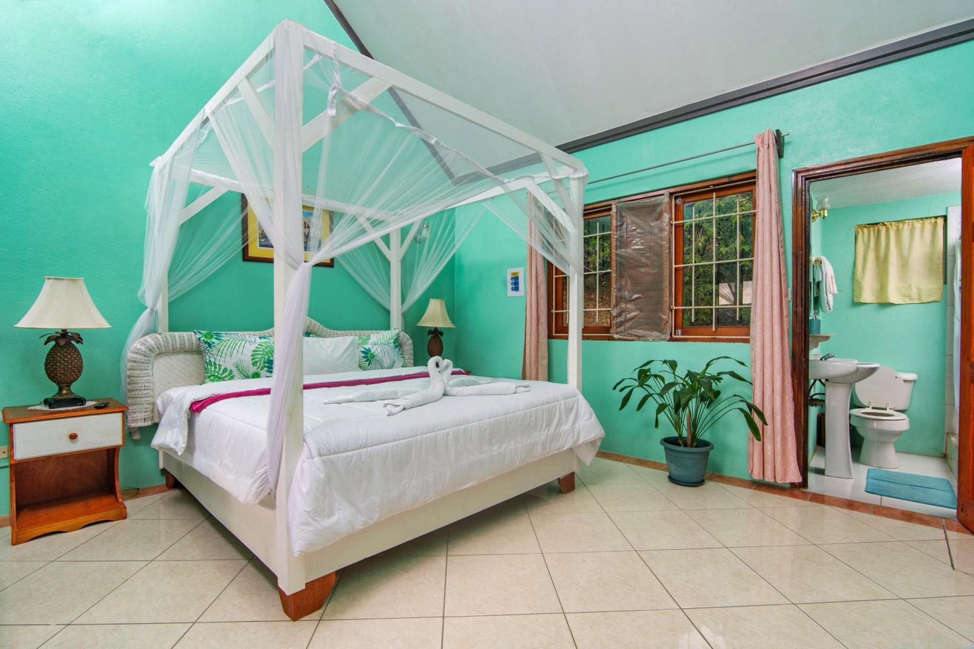 Inn Tropical Paradise View Anse La Raye