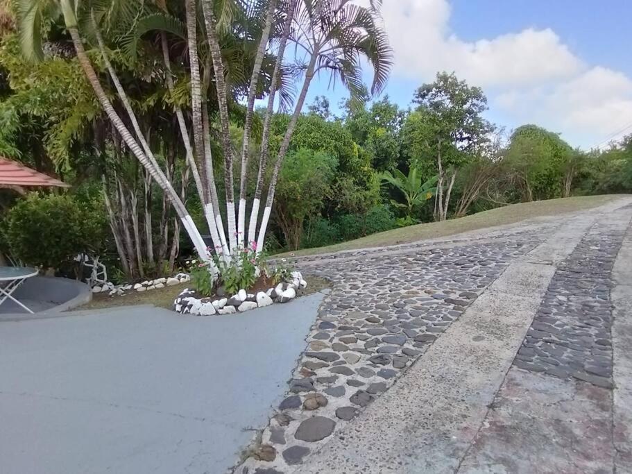 Oceandale Beachfront Cap Estate