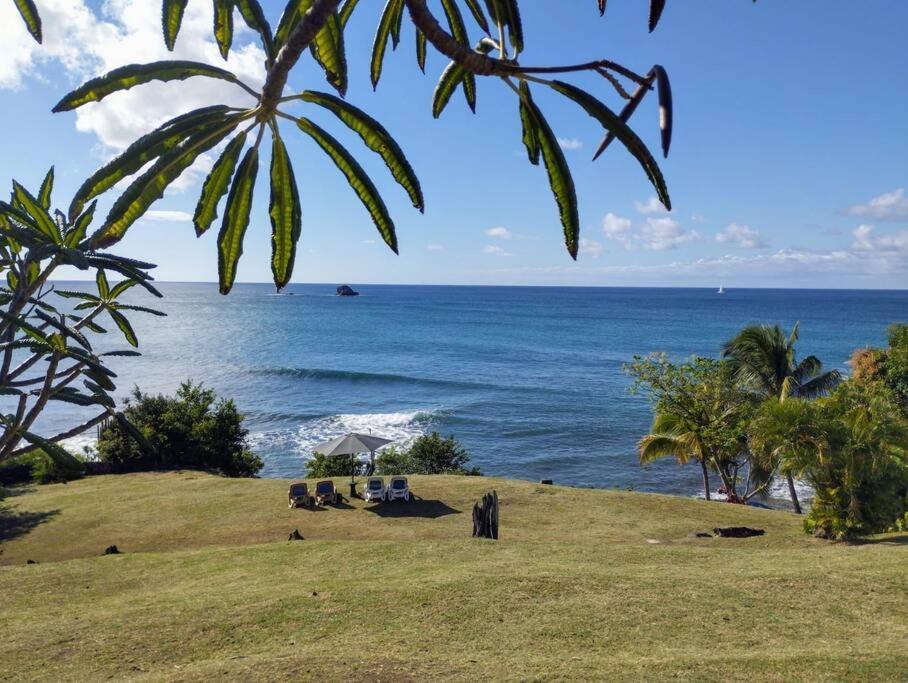 Oceandale Beachfront Villa