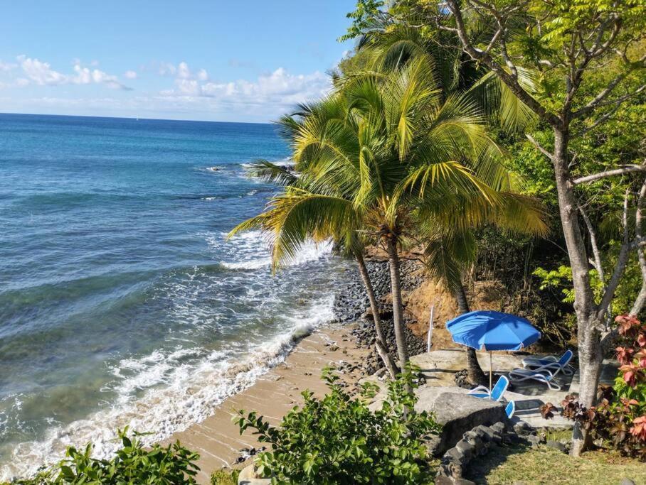 Oceandale Beachfront