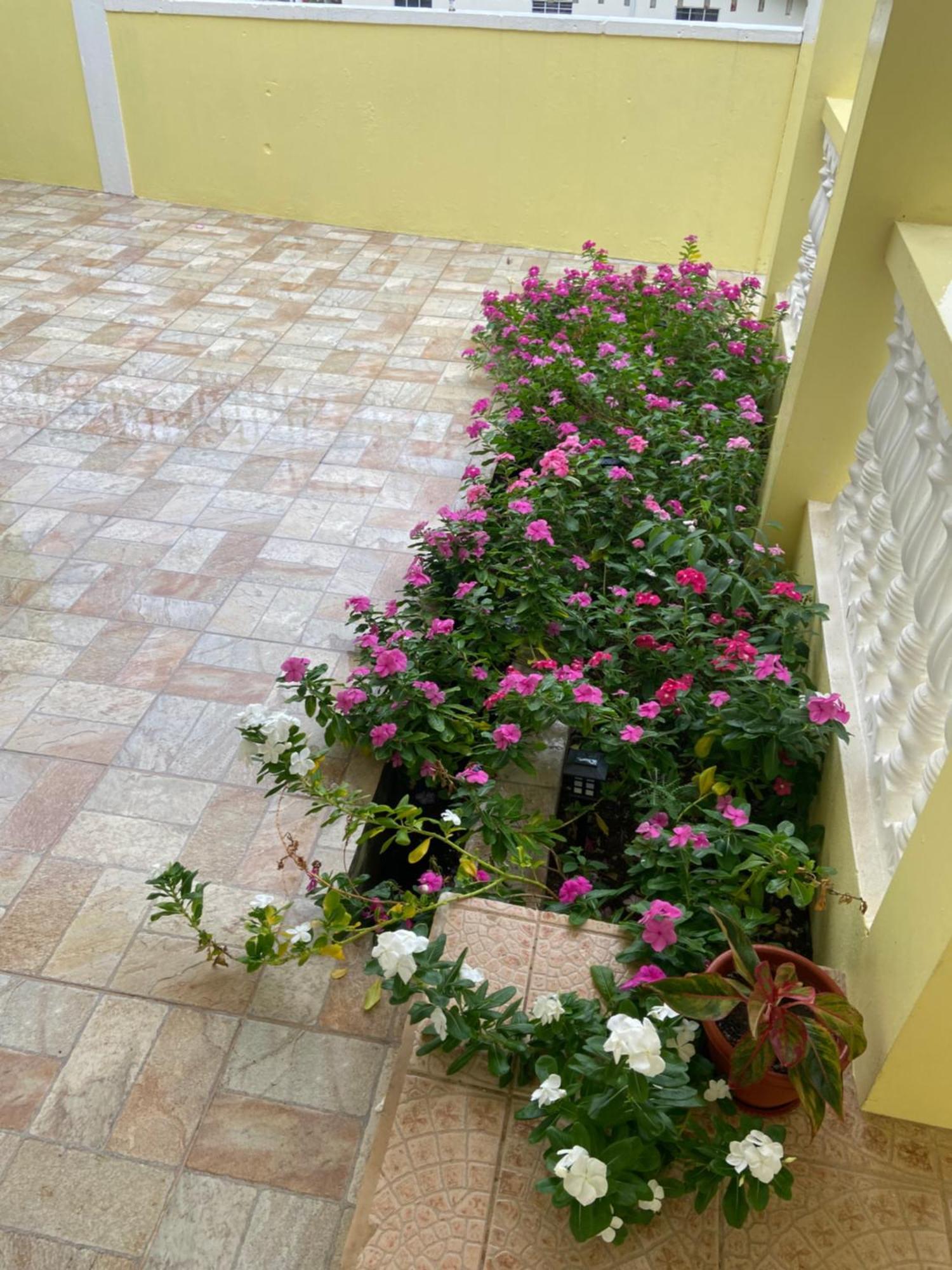 Seabliss Villa *