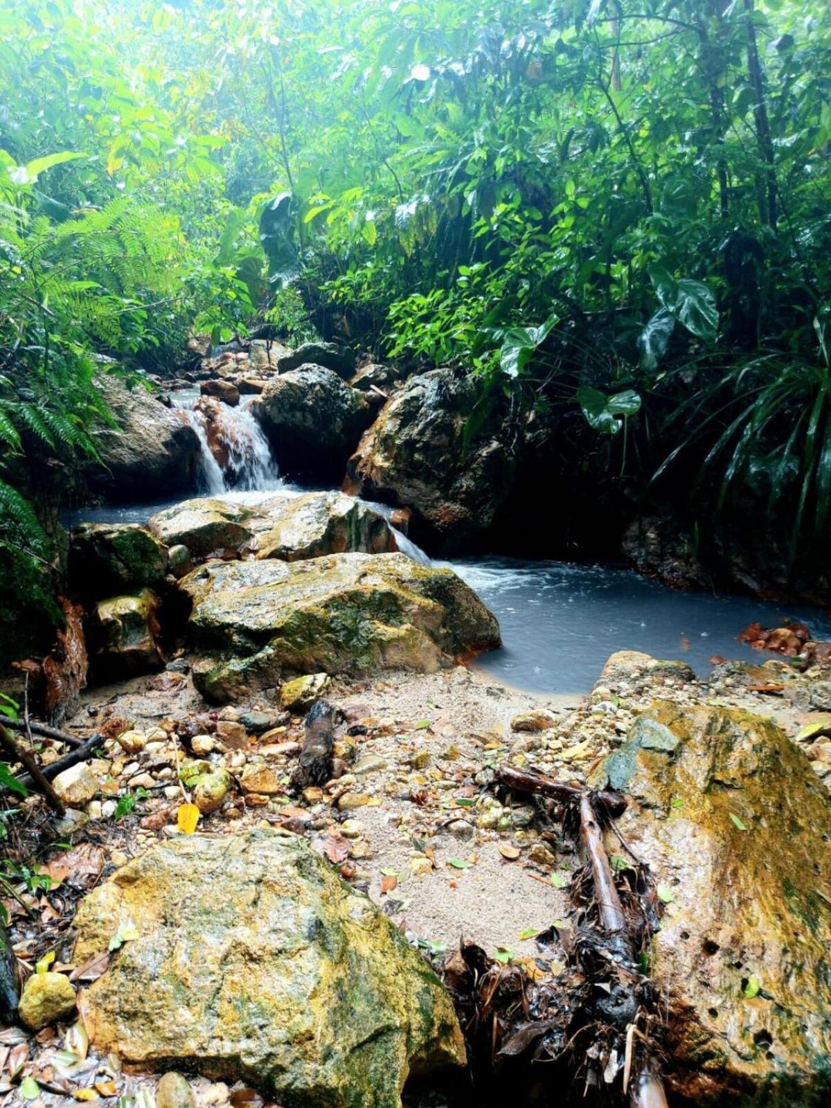 Almarlene House, Spacious Sea View, Large Pool, Patios, Cot, Cook Gros Islet