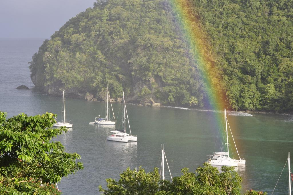 Palms Luxury Caribbean Hotel Marigot Bay
