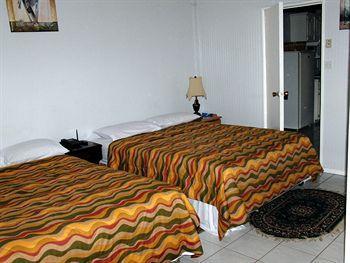 Qr Quality Cedar Palm Vieux Fort