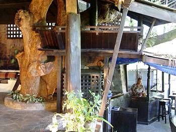 Hotel Mago Estate 3*