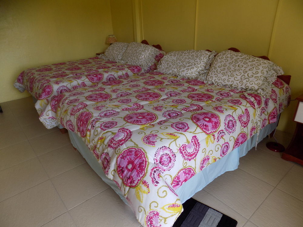 Inn Tropical Paradise View Anse La Raye