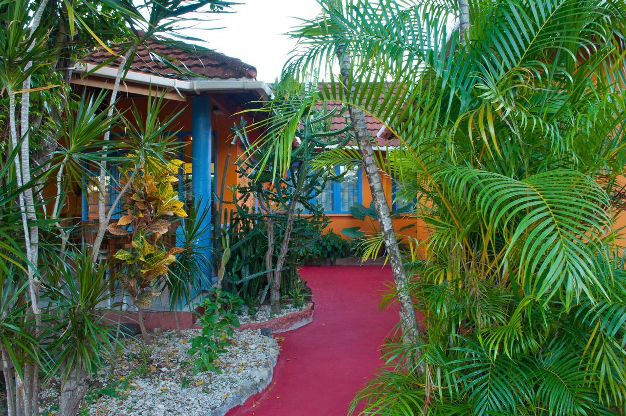 Le Jardin De Rodney