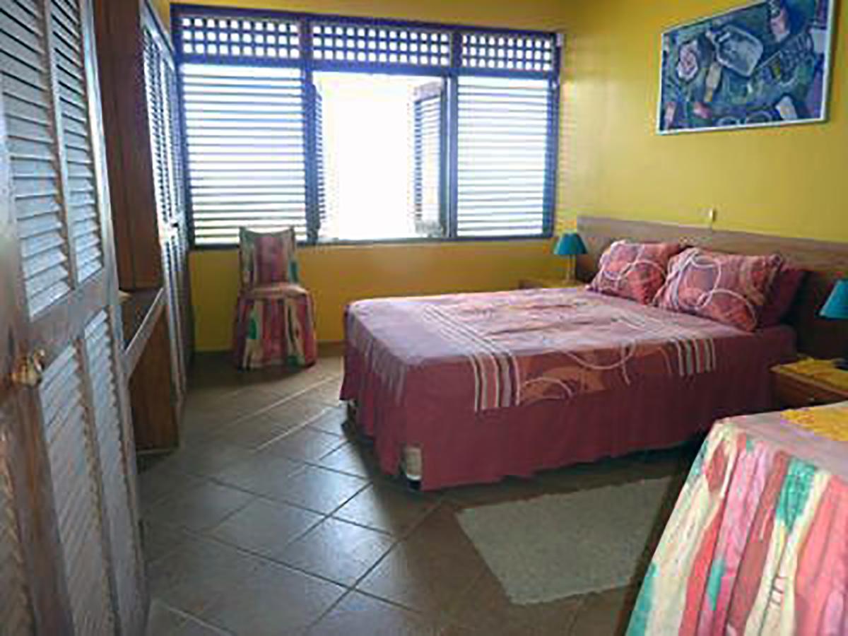 Frangipani