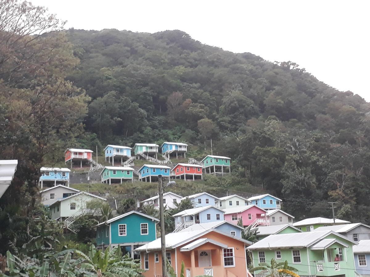 Amazon Villa