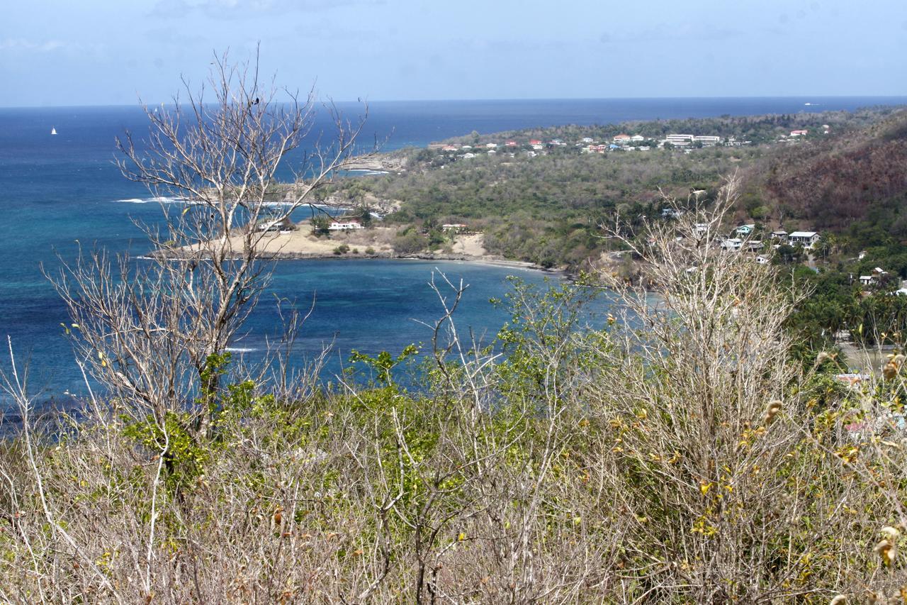Apartment Belle View Laborie