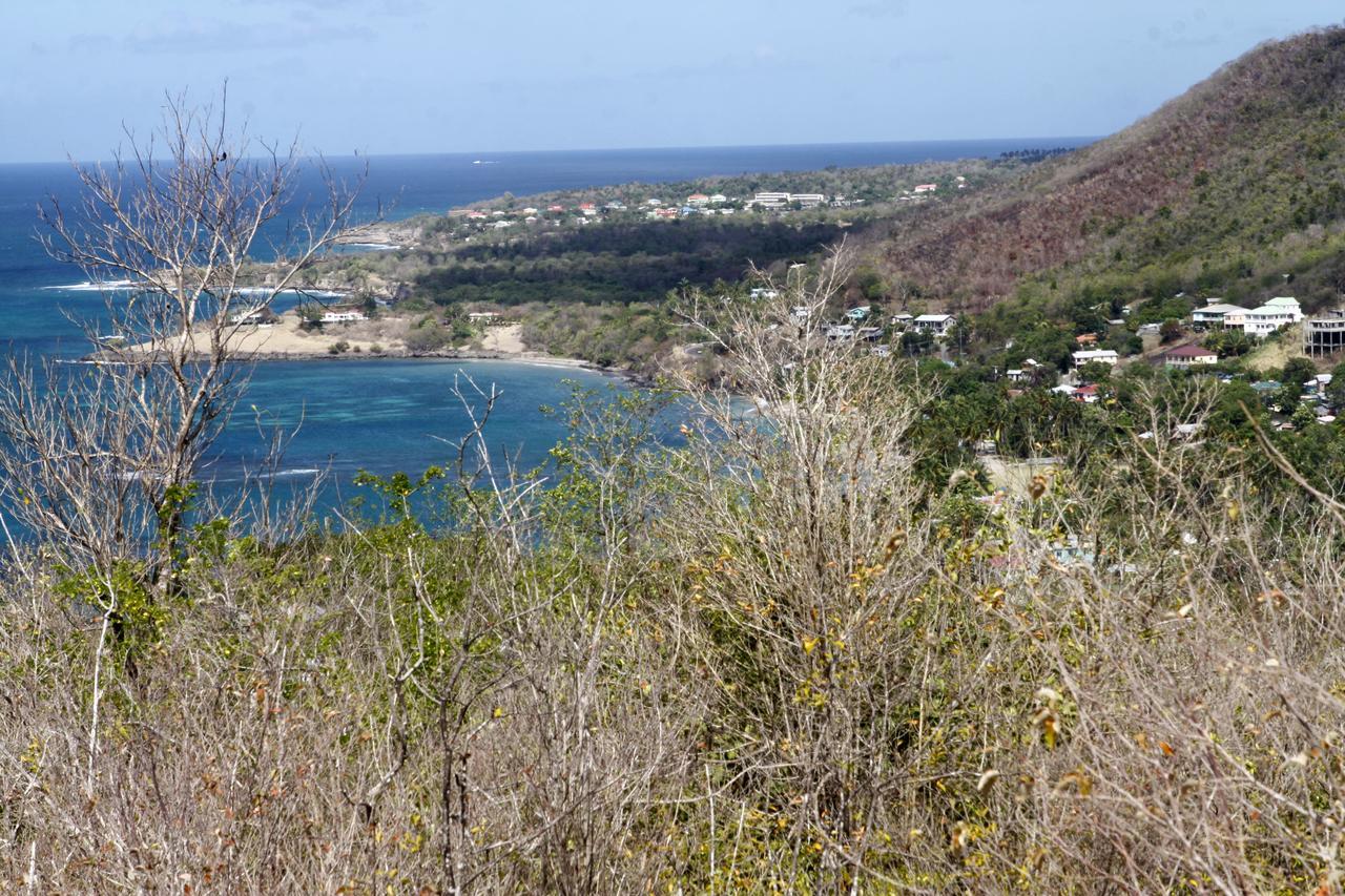 Belle View *