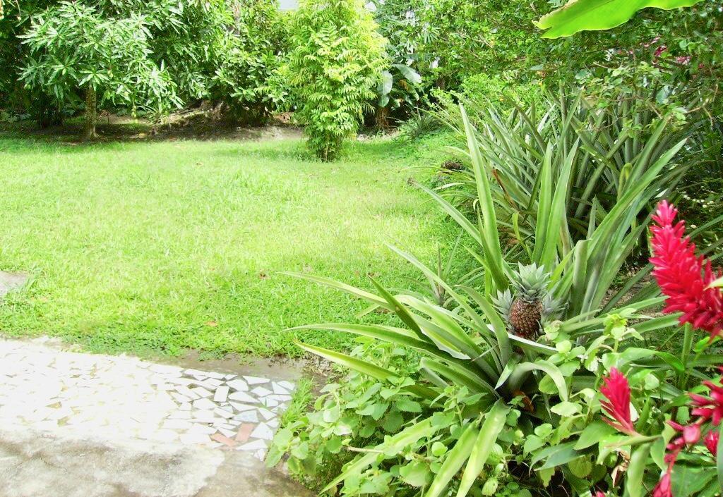 Diamondview Soufriere