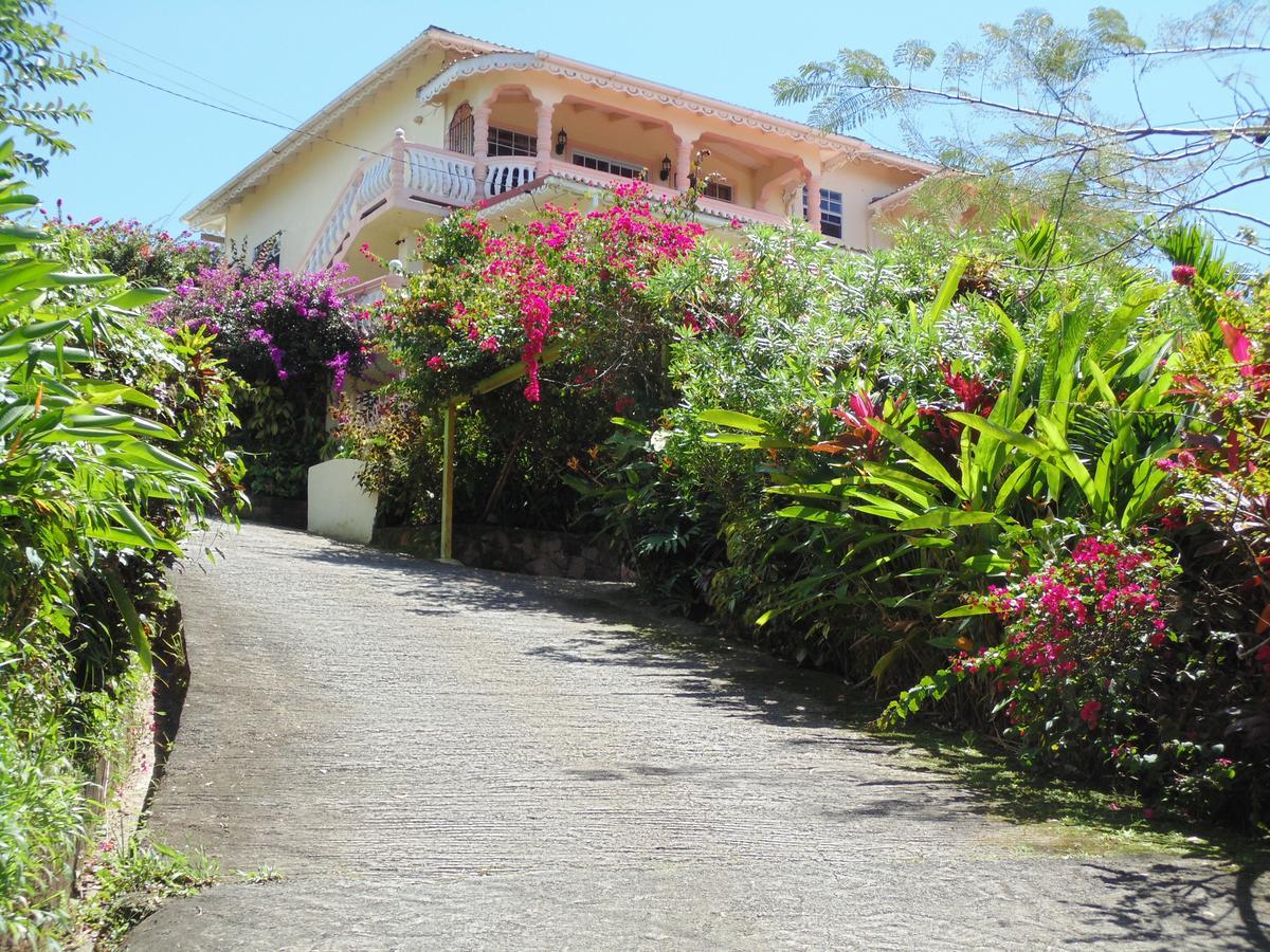 Piton Vista