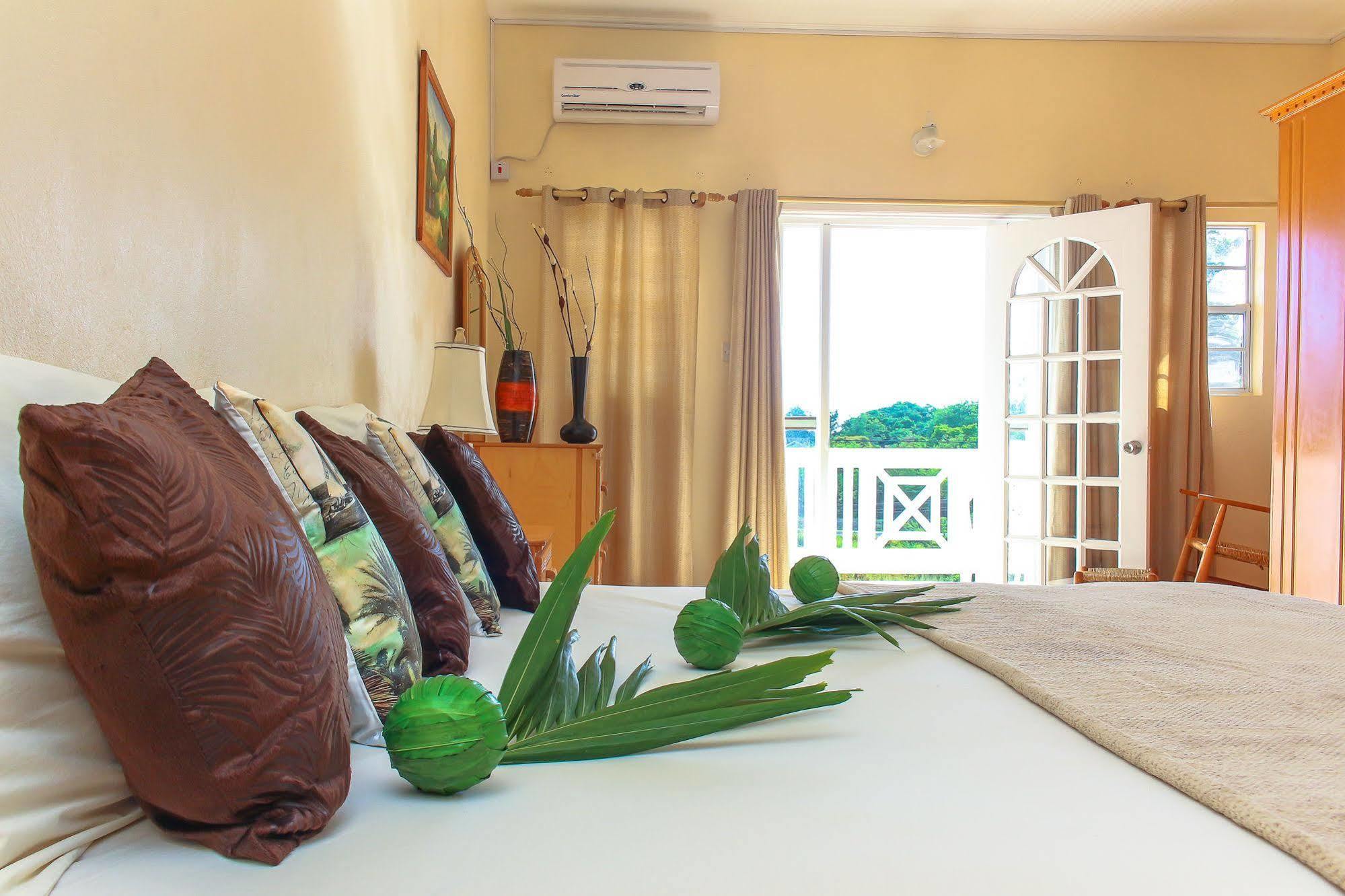 Qr Quality Cedar Palm Vieux Fort
