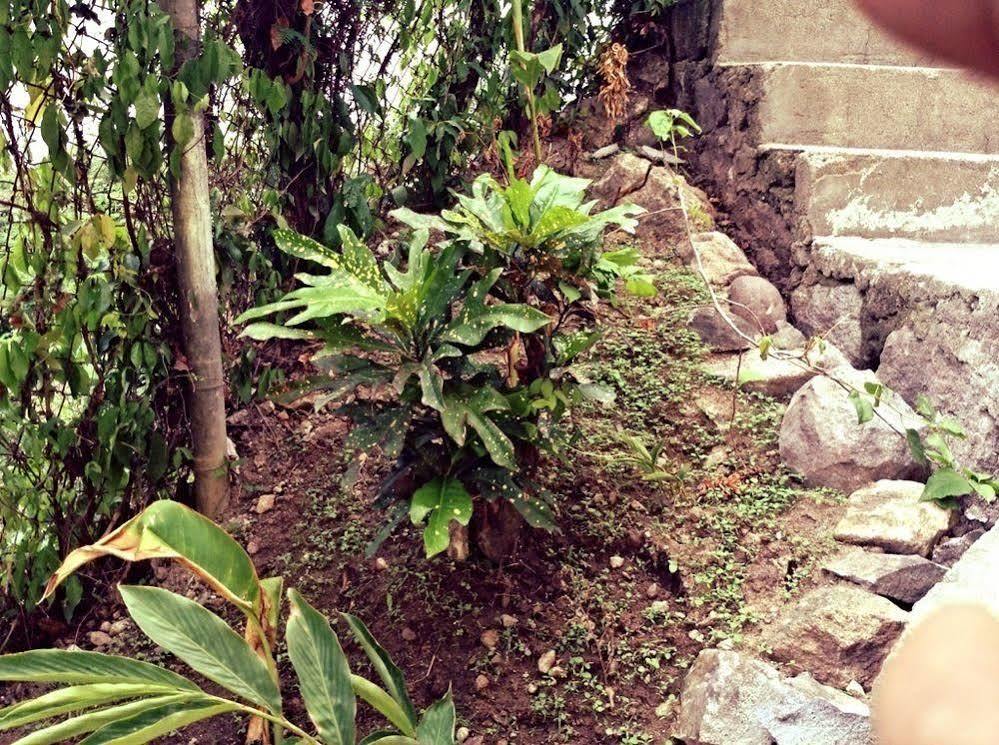 Hotel Soleil Soufriere