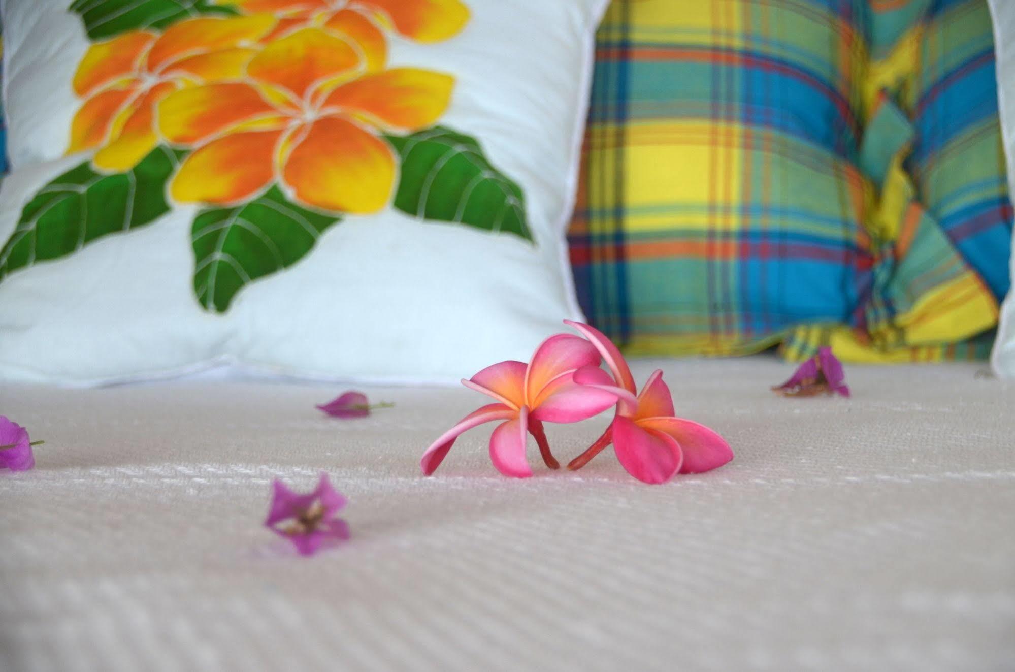 Hotel Tet Rouge Soufriere