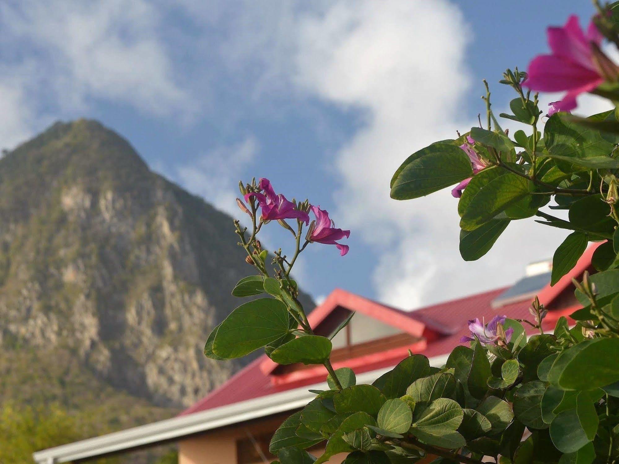 Tet Rouge Hotel Soufriere