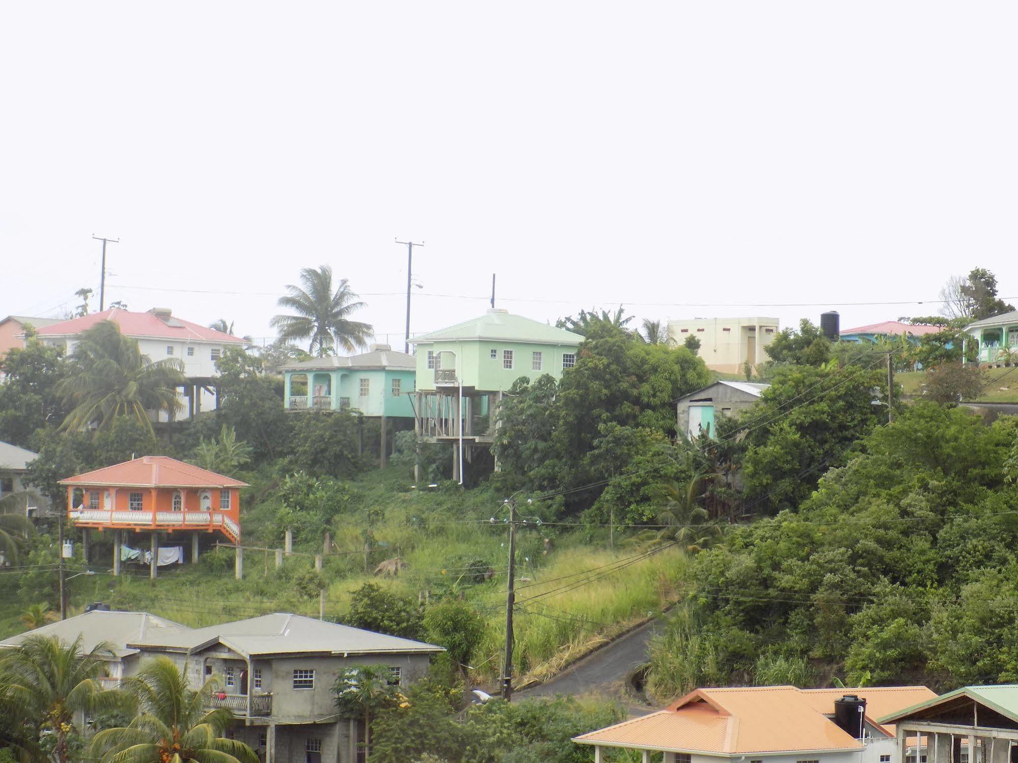 Tropical Paradise View Inn