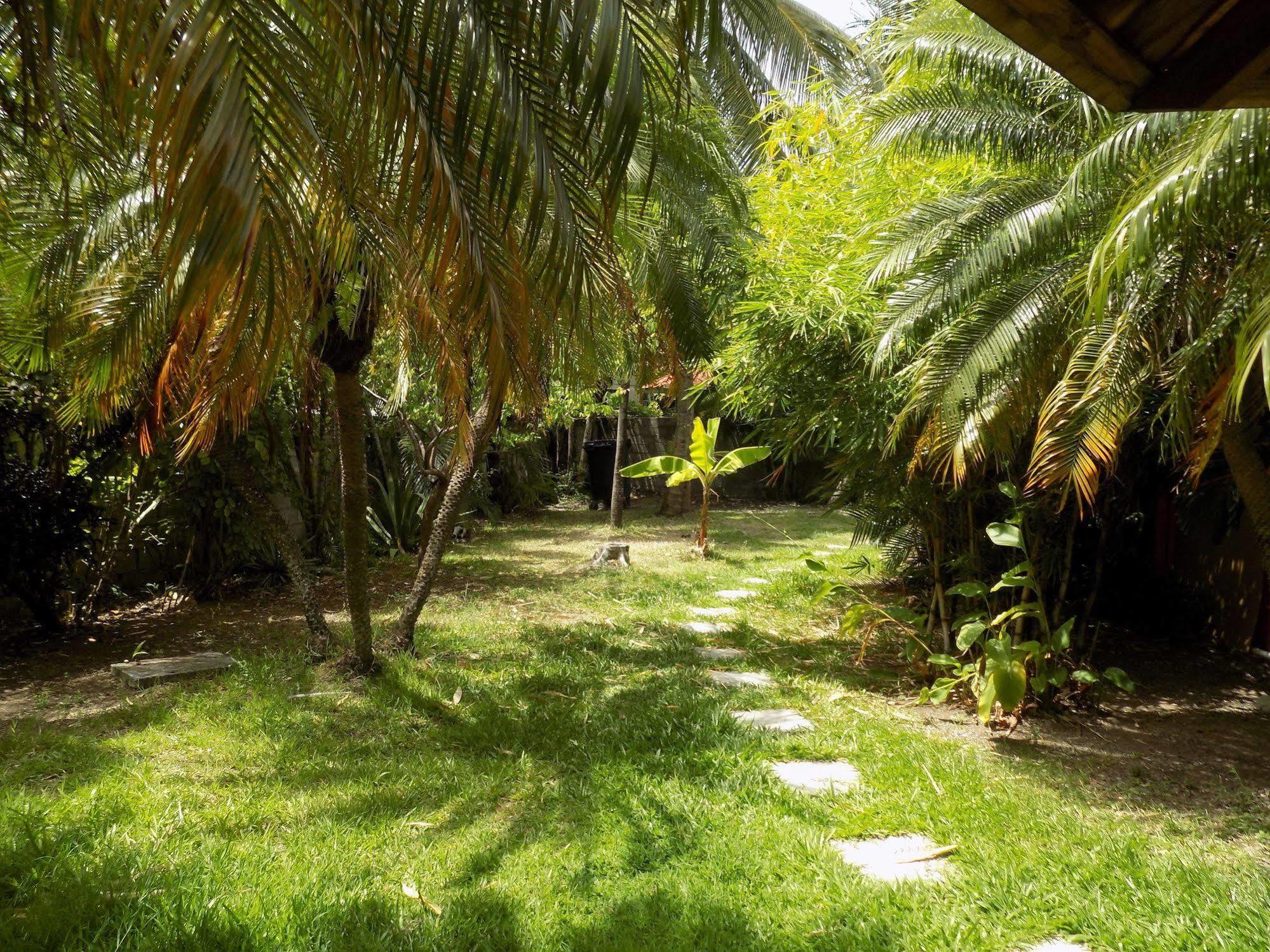 Le Jardin De Rodney Gros Islet