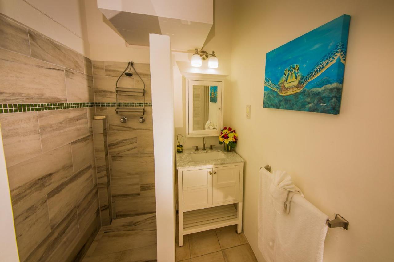 Oasis 3*