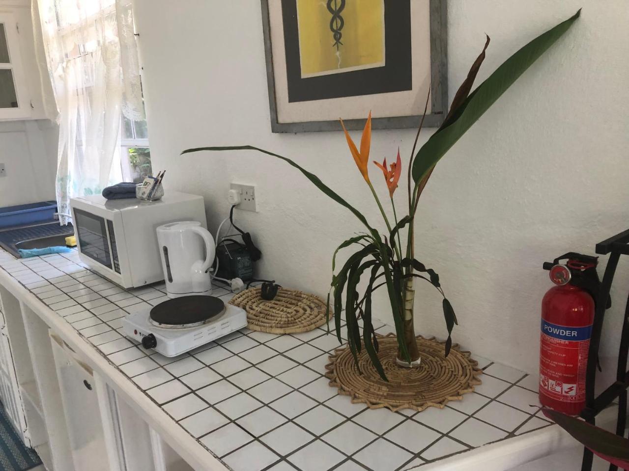 Diamondview Apartment Soufriere