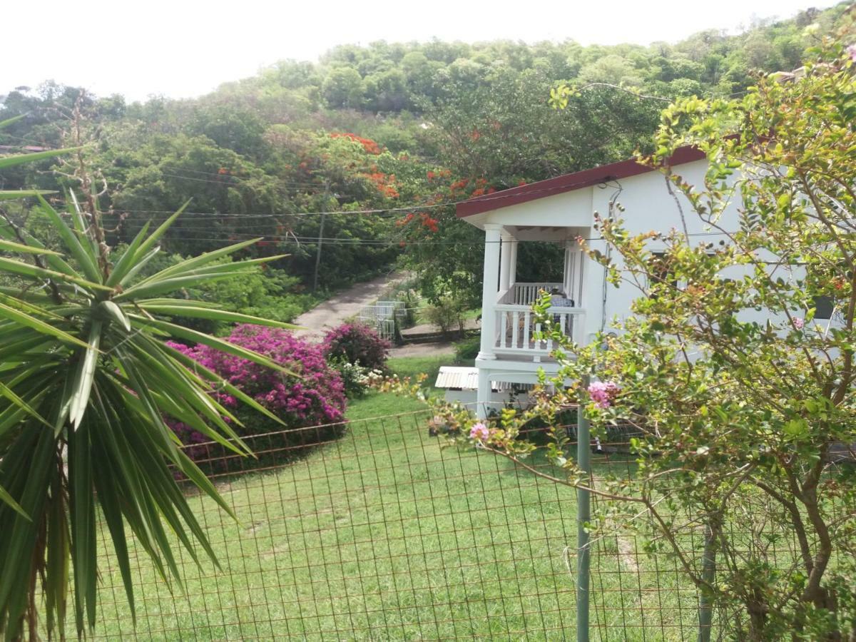 Guest house A Private In Paradise, Vieux *