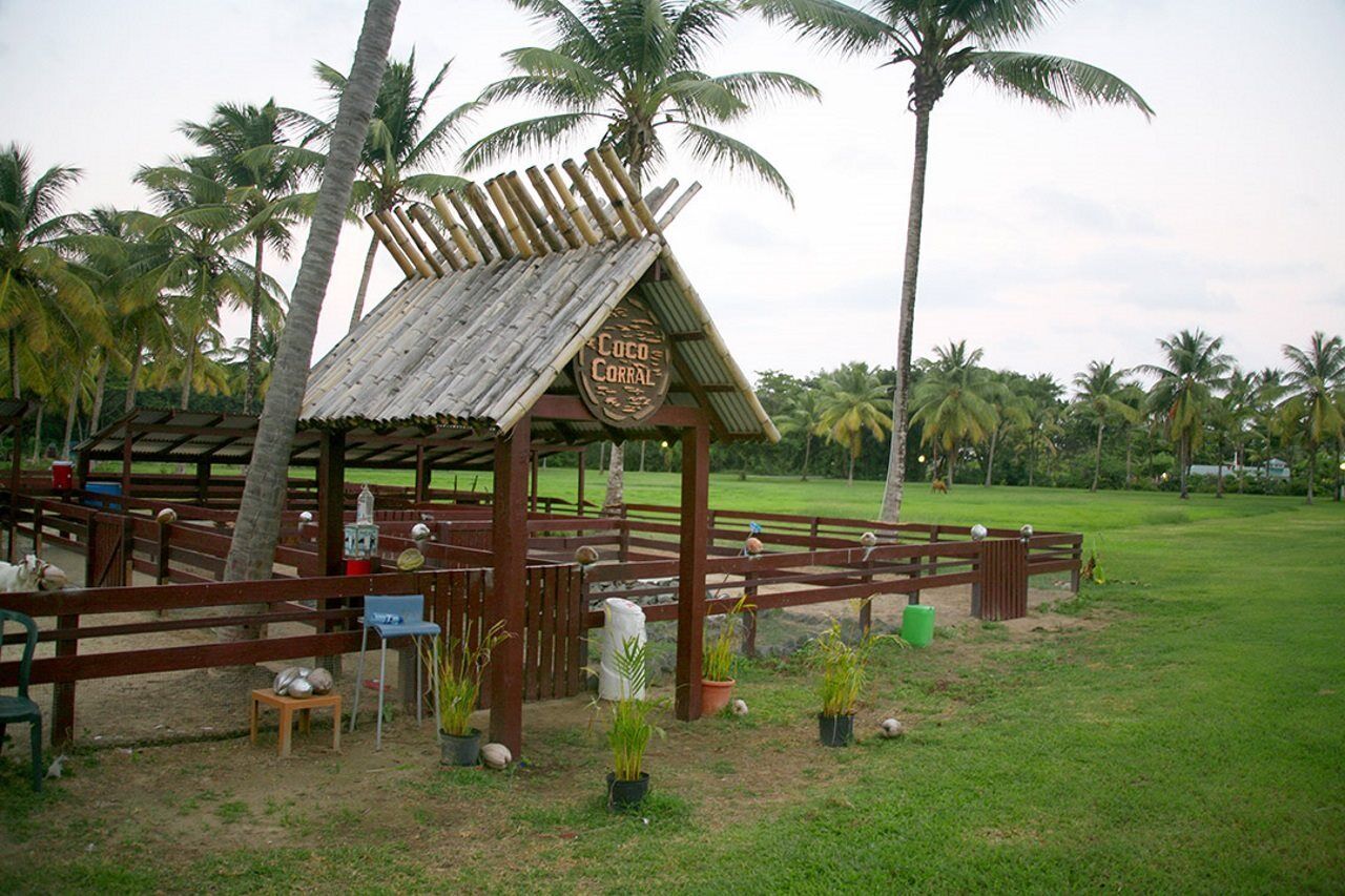 Coconut Bay & Resort 4*