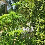 Hilltop View Guesthouse