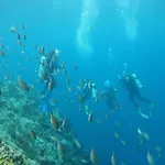 Marigot Palms Luxury Guesthouse