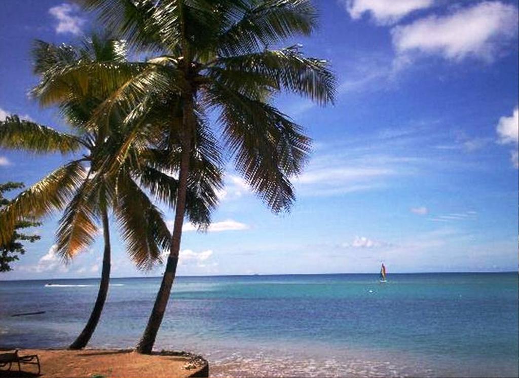 East Winds St. Lucia Gros Islet