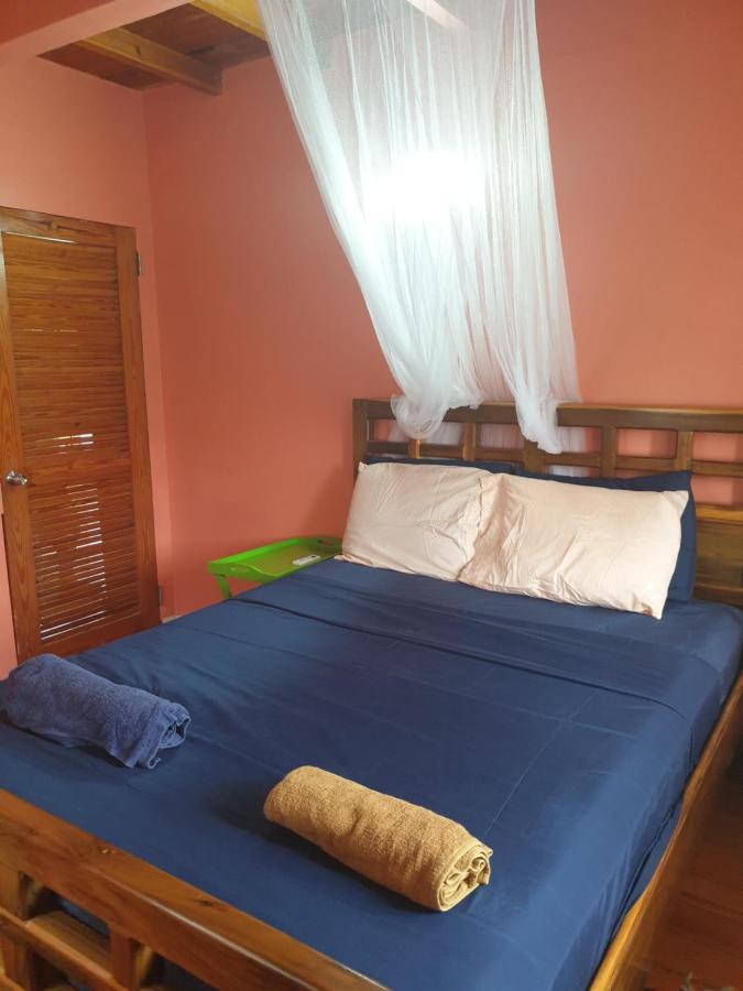 Seawind Authentic St.lucian Near Plantation Apartment *